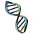 DNA