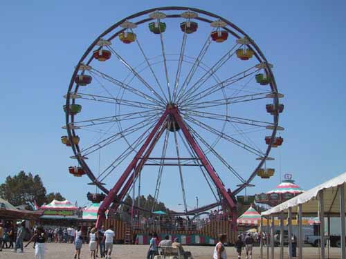 At the Santa Clara County Fair.