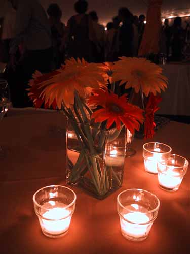 Gerbera daisies grace a wedding reception.