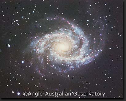 ngc2997aa