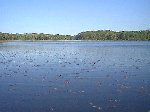 [Picture of lake]