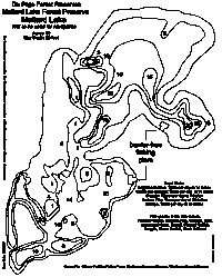 [Depth Map]